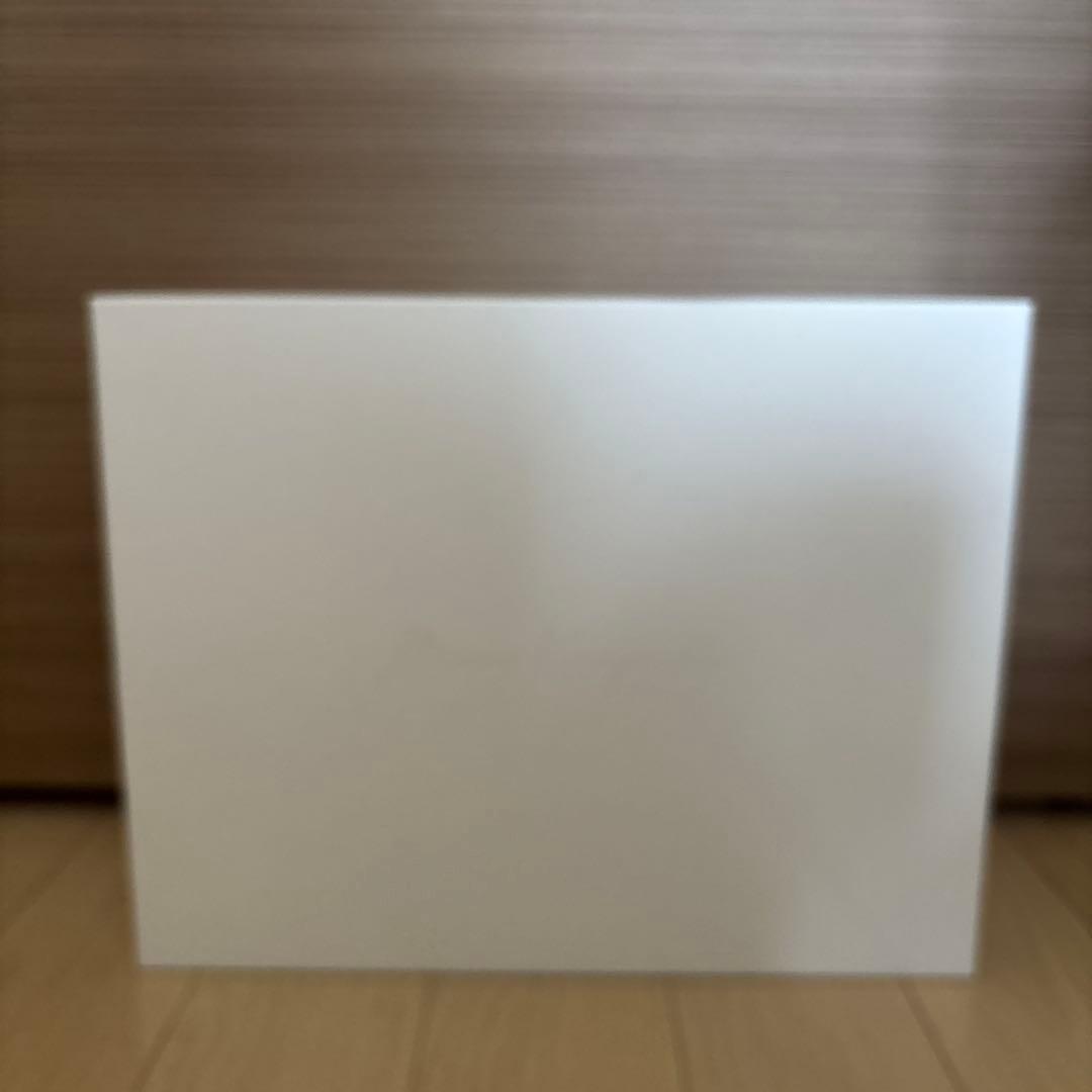 新品未使用　mamekurogouchi PVC ブラック