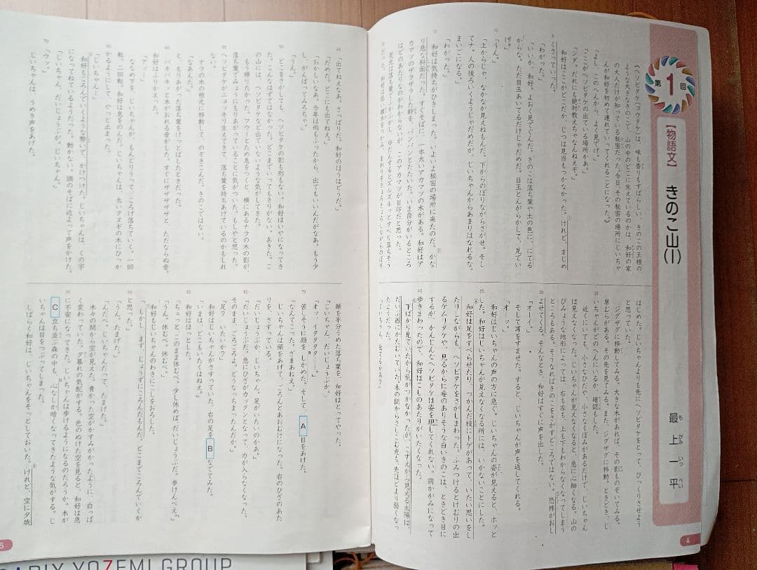 サピックス　コアマスター　小学5年