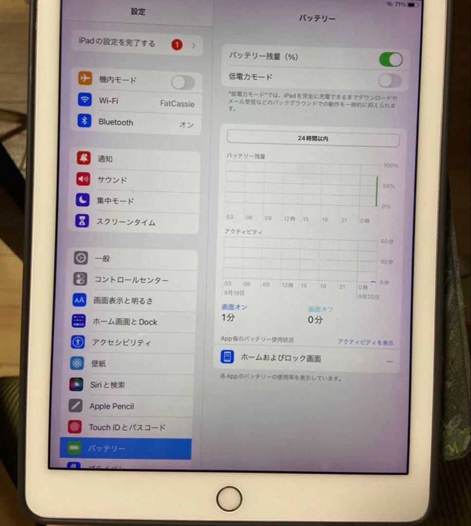 iPad Pro（9.7インチ） 本体 256GB