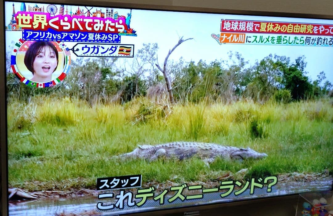 42型 Panasonic ビエラ 4倍速液晶テレビ TH-L42DT5