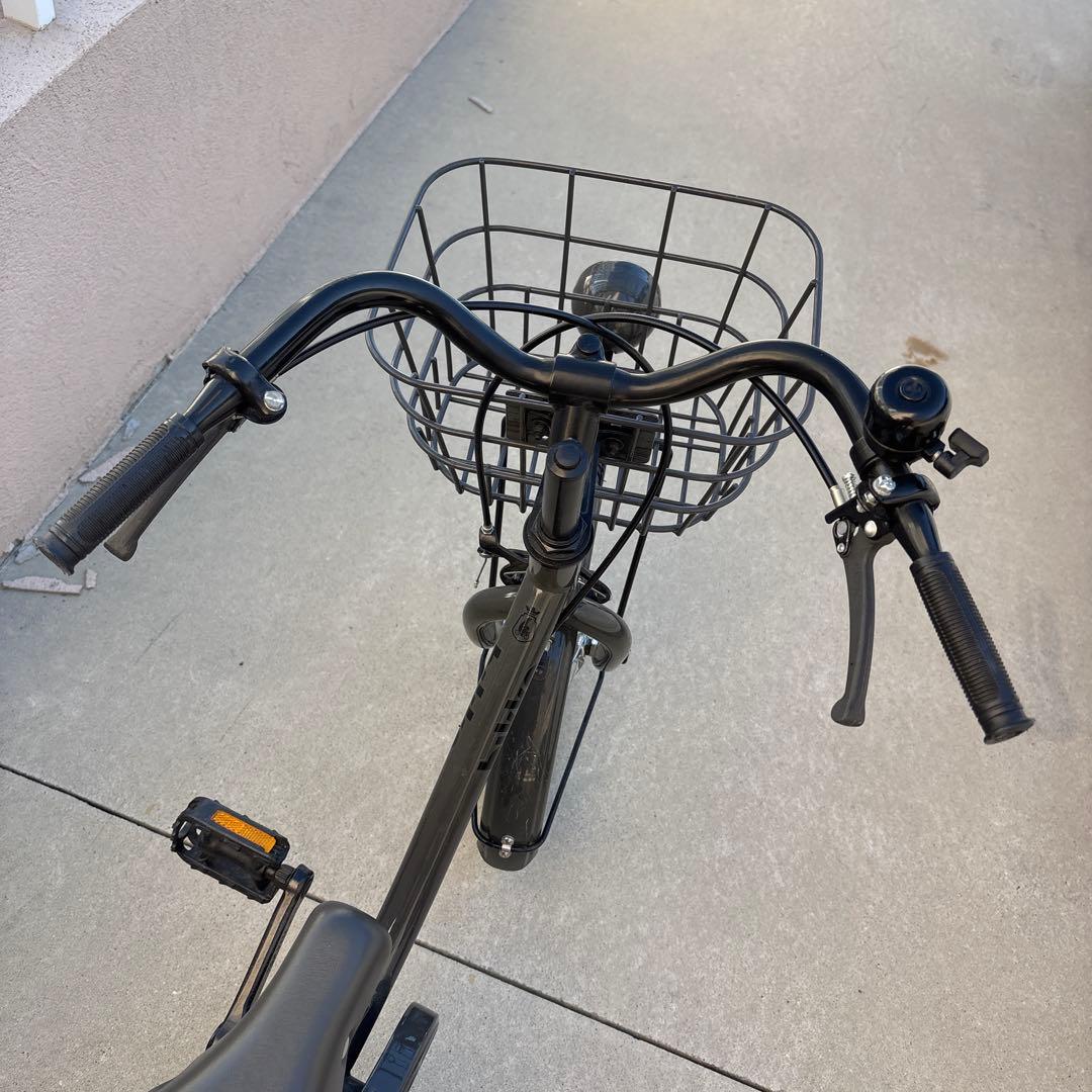 P*　ビッケm (bikke m) 16 インチ