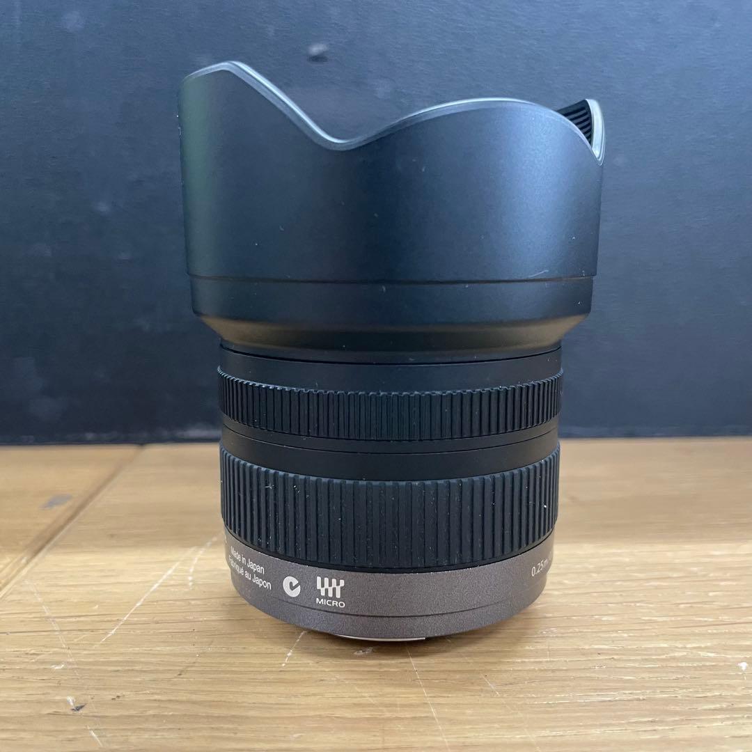 動作品 Lumix G Vario 7-14mm F4 ASPH. 広角レンズ