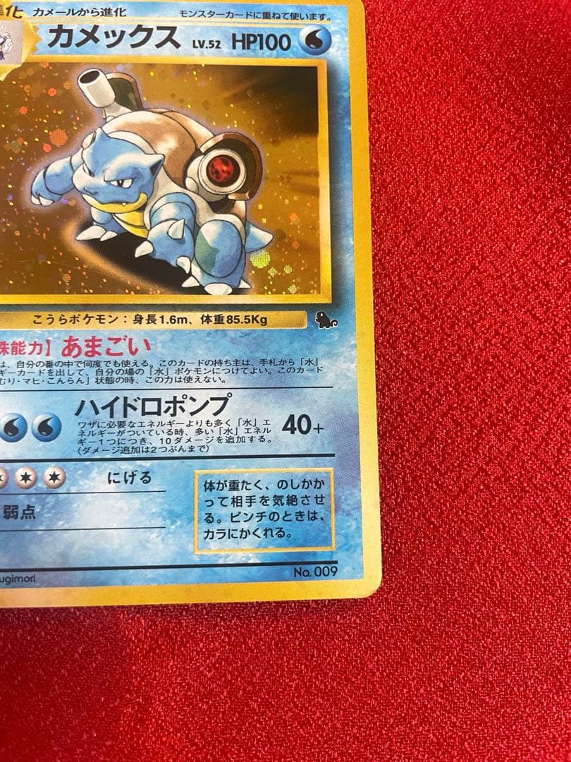 【美品-希少】イントロパック フシギバナ カメックス 計２枚 ポケモンカード旧裏