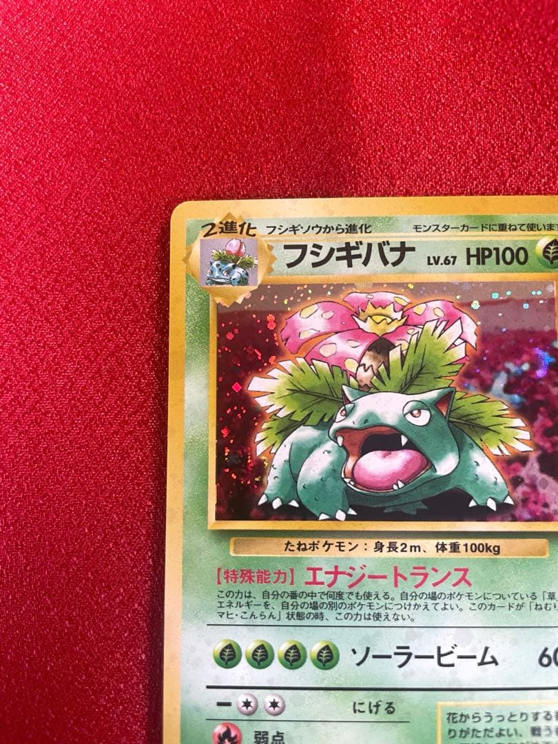 【美品-希少】イントロパック フシギバナ カメックス 計２枚 ポケモンカード旧裏