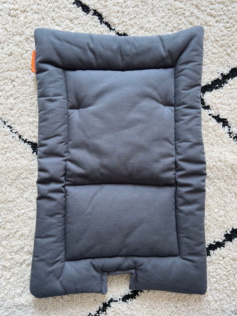 Leanderリエンダー セーフティバー トレー クッション　ベルト　4点セット