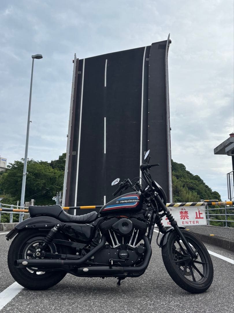 超美品TRAMP CYCLE トランプ キング＆クイーンシート スポーツスター