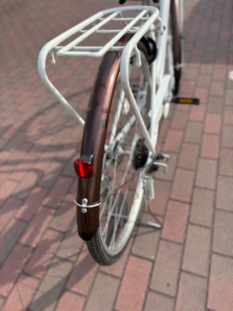 Yukihiro Yachobuzさん専用 オートライト・パパチャリ(27㌅)