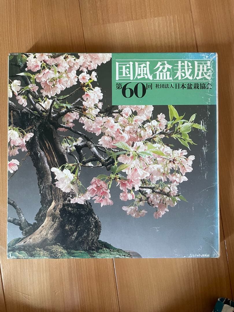国風盆栽展 51-61 巻セット