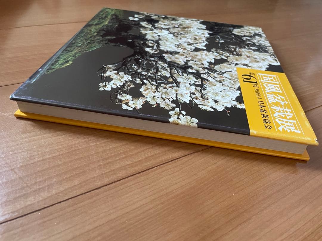 国風盆栽展 51-61 巻セット