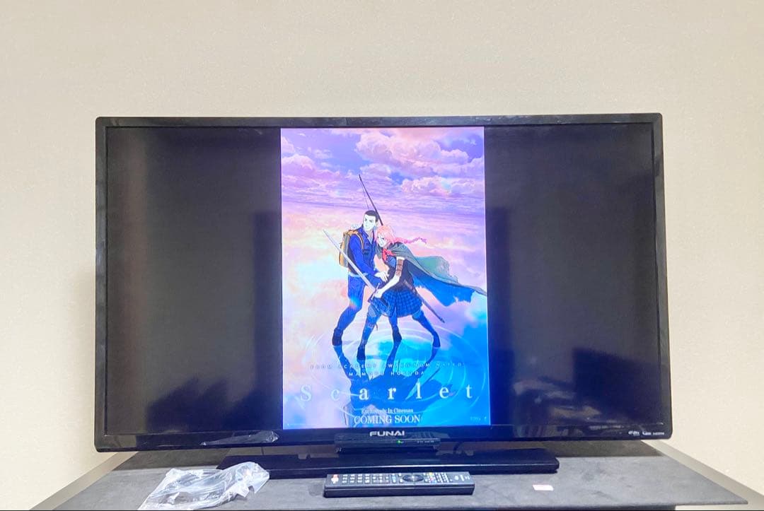 【今だけ優待価格】FUNAI 40V型フルHD・Wチューナー裏録(外付HDD)