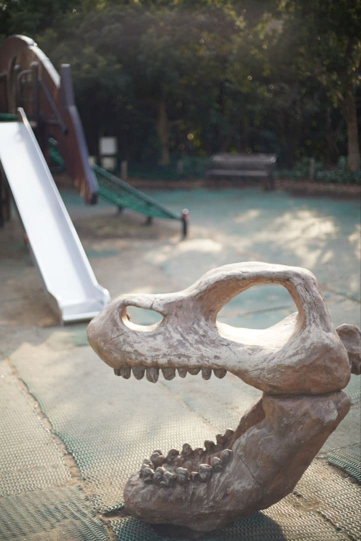 【分解清掃済良品】CANON NEW FD 50mm f1.4 初期不良保証付き