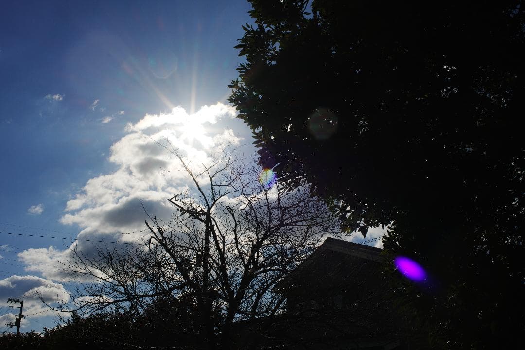 希少 Canon FD 35mm F2 SSC 凹 ○マーク 美品 164