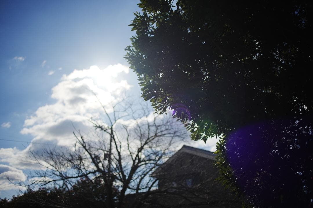 希少 Canon FD 35mm F2 SSC 凹 ○マーク 美品 164