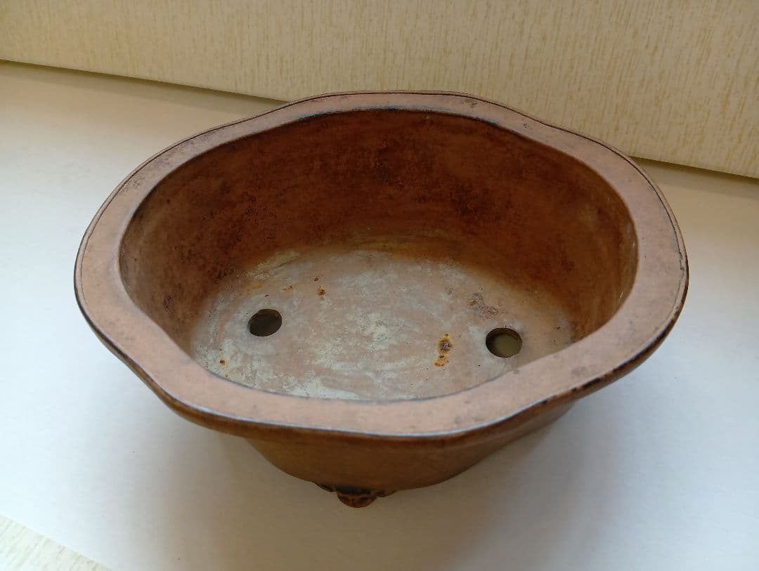 盆栽鉢（横木瓜）