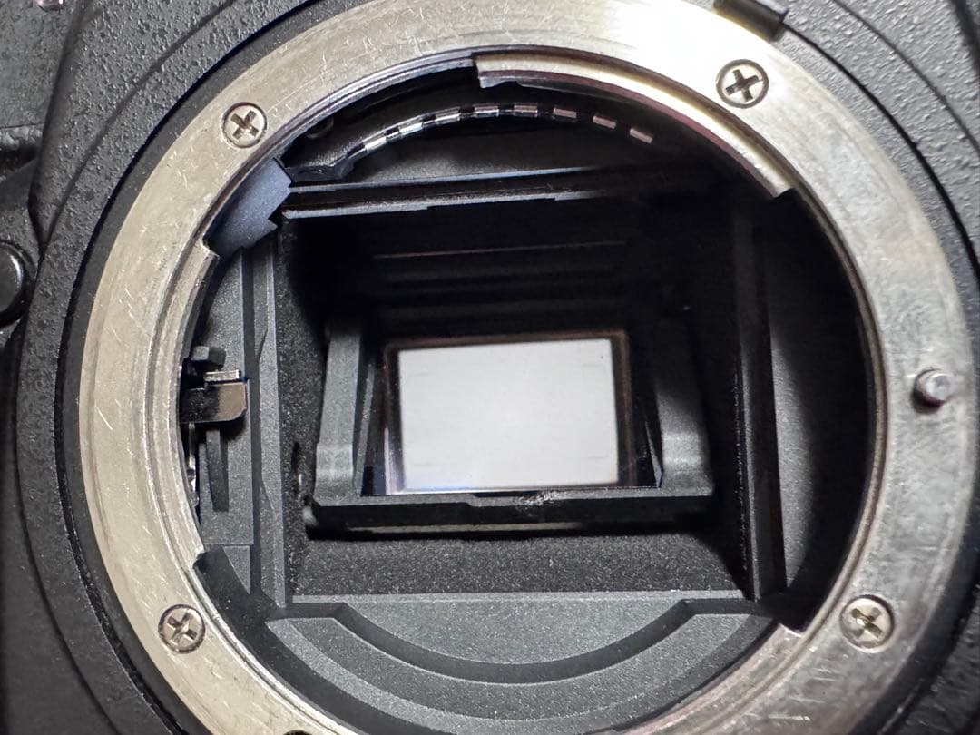 Nikon D500［最終値下げ］