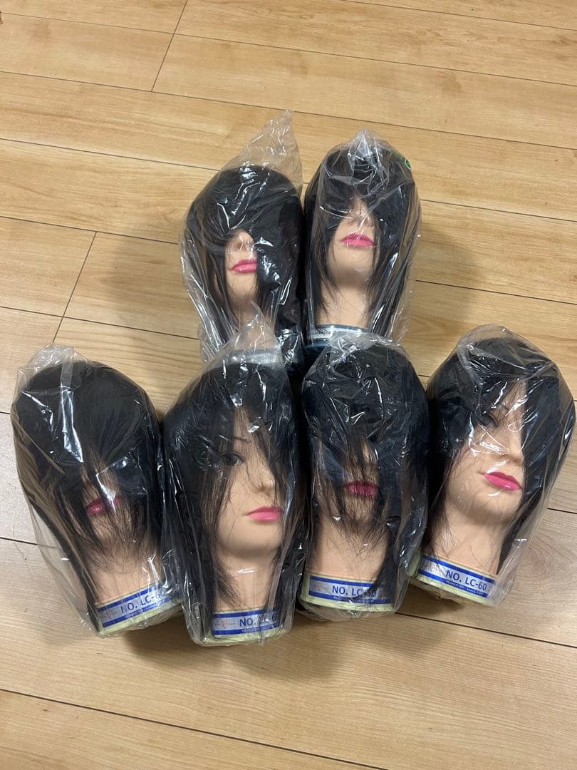 美容師国家試験用　本番用　練習用　 LC-60 カットウィッグ　6個セット　新品