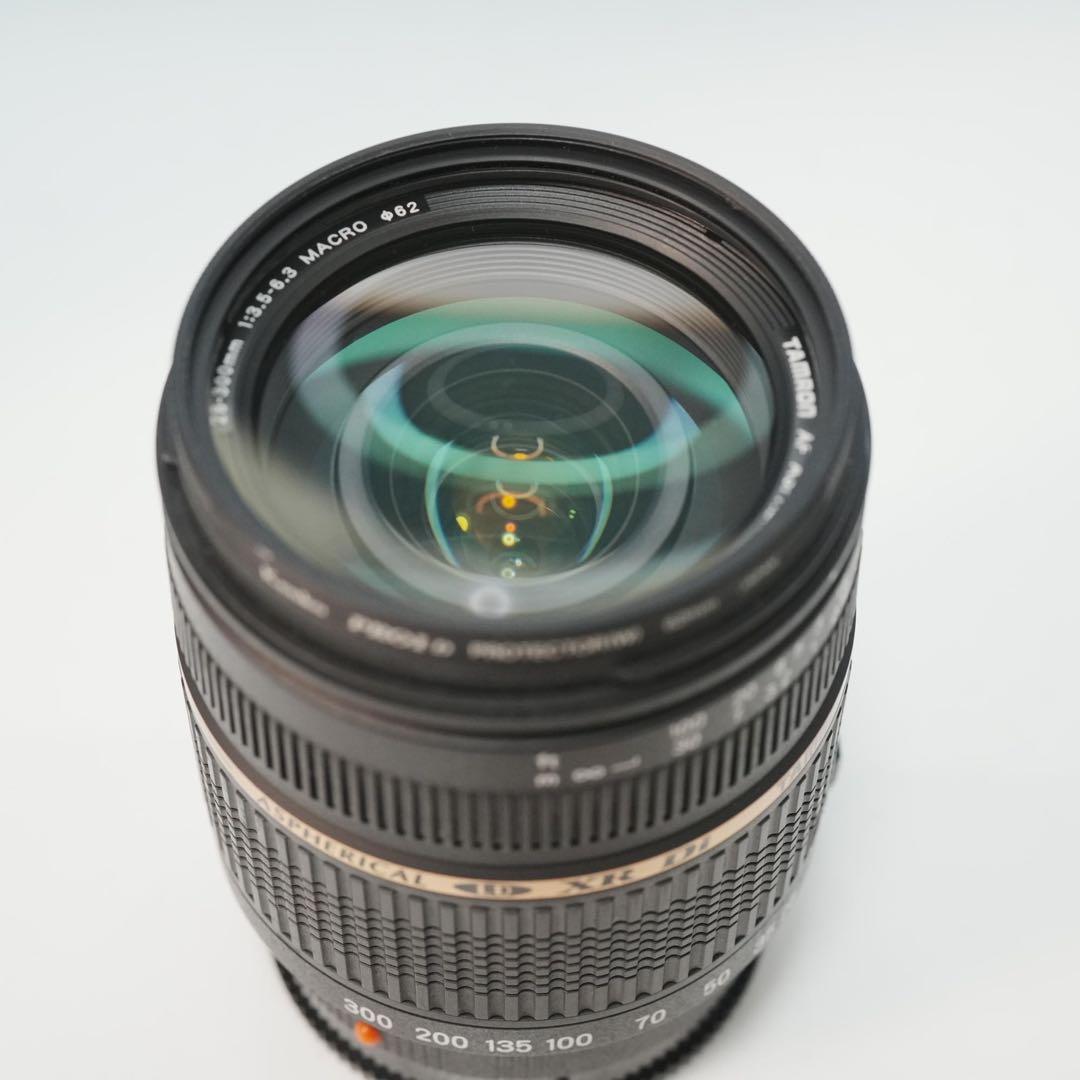 TAMRON 28-300mm SONY用 望遠レンズ 極美品 a4770