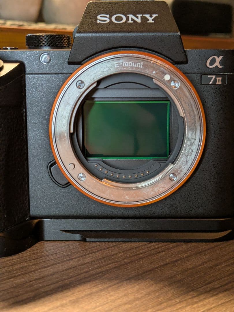 付属品追加【美品シャッター 約30000回】SONY α7 IIボディ