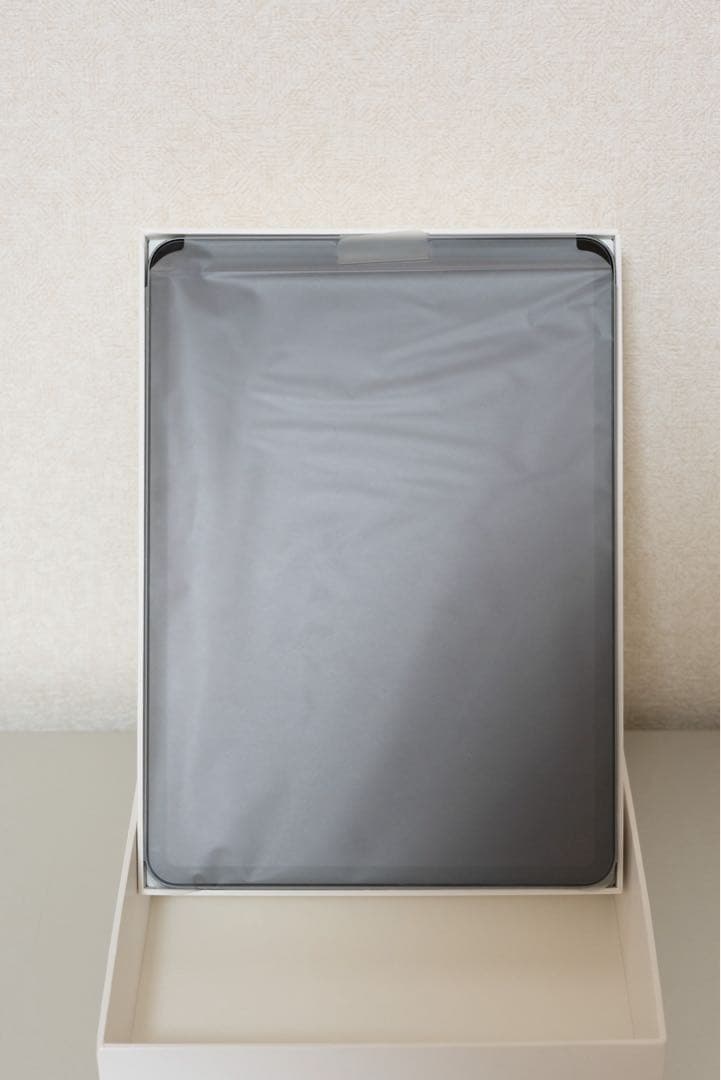 iPad Pro 11インチ 256GB (第1世代) Wi-Fi 箱付属品完備