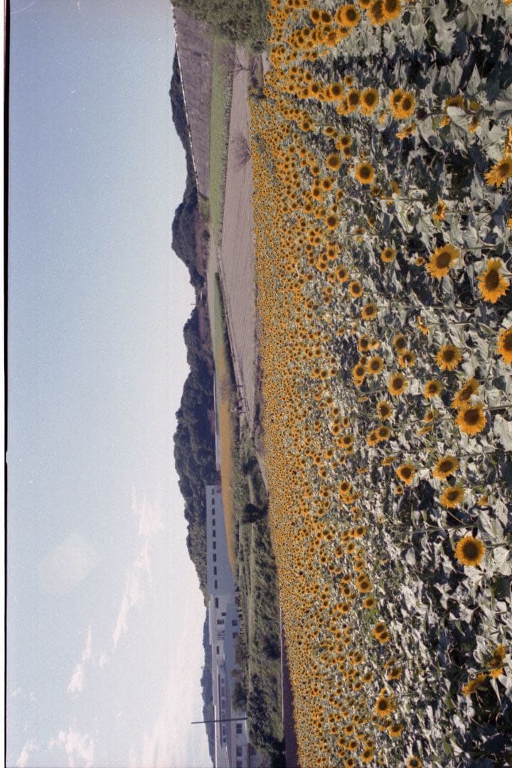 Minolta X-1 MOTOR ミノルタ X-1モーター