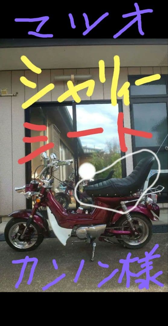 武政塾三段シートシャリーchalyシャリィ蜂4miniSHOP北関東旧車會暴走族