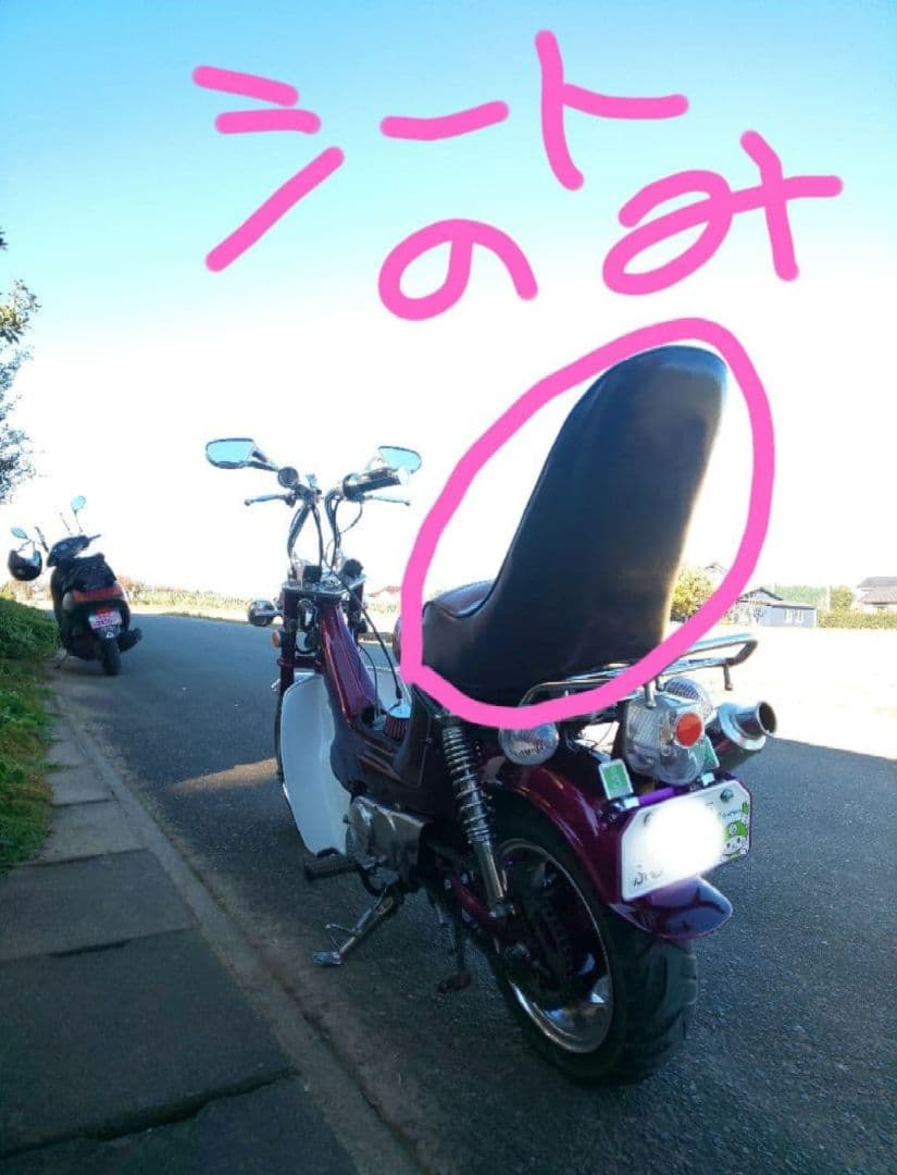 武政塾三段シートシャリーchalyシャリィ蜂4miniSHOP北関東旧車會暴走族