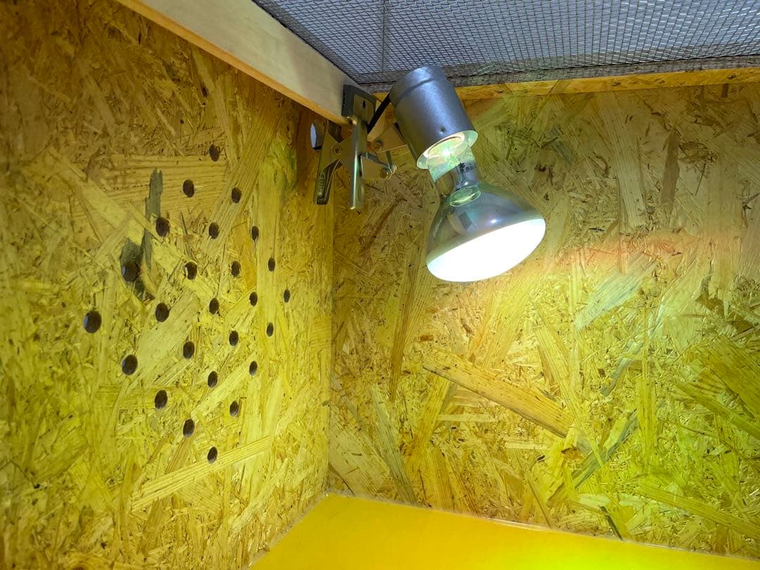 爬虫類ケージ　爬虫類飼育ゲージ　90ラック用サイズ　天井金網仕様