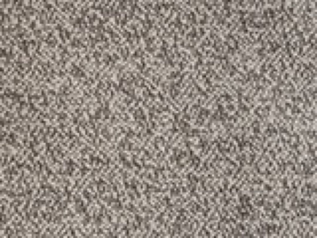 【⭐︎即購入OKさんです⭐︎さま専用】コアラソファーベッド CUSHY