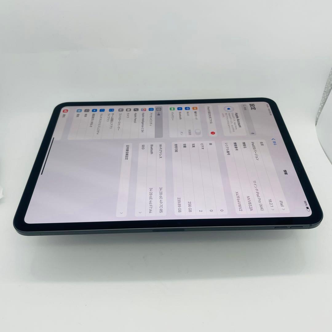 電池100% iPad Pro 第5世代 11インチ　256 GB Wi-Fi