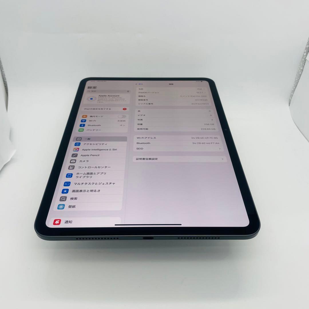 電池100% iPad Pro 第5世代 11インチ　256 GB Wi-Fi
