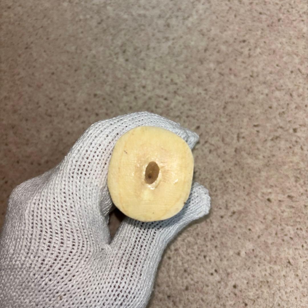 鯨歯 約9.5cm 約133g