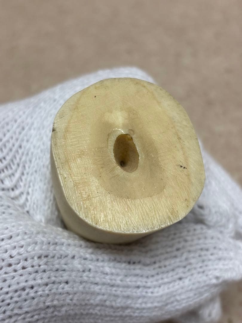 鯨歯 約9.5cm 約133g