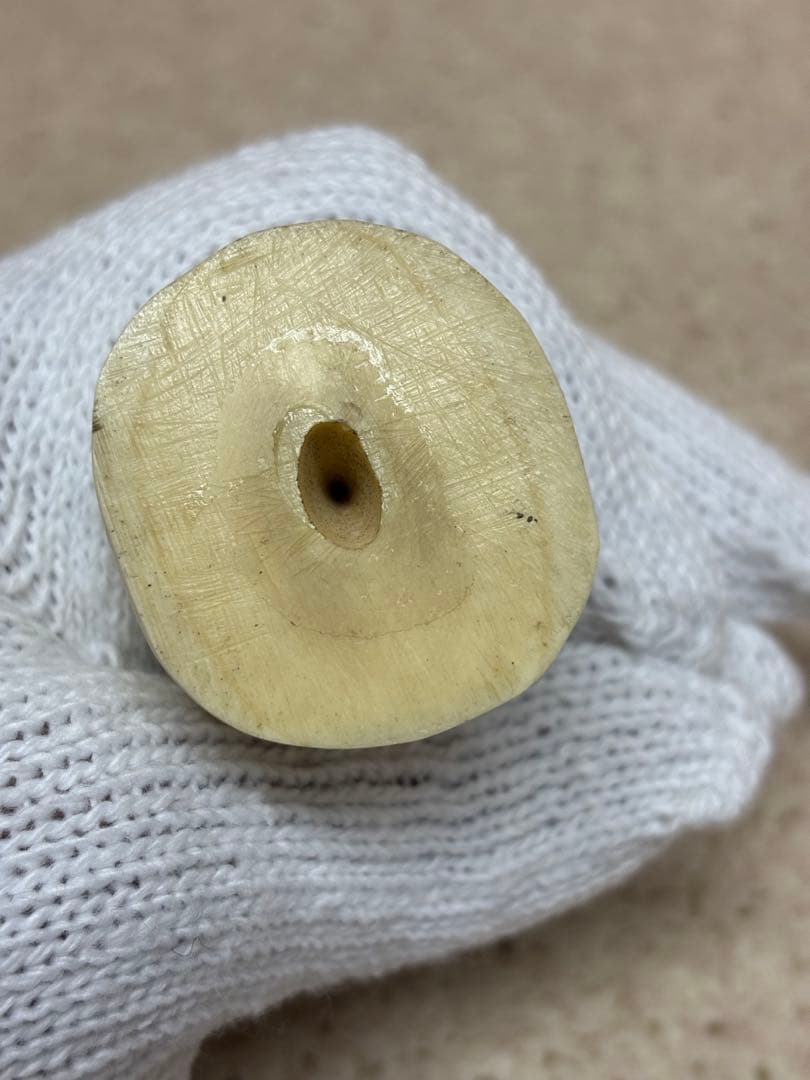 鯨歯 約9.5cm 約133g