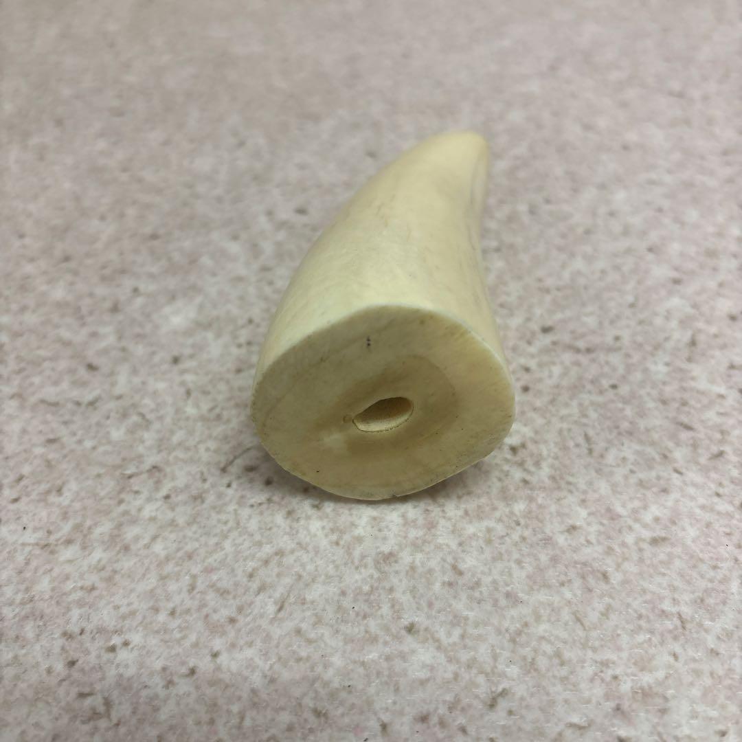鯨歯 約9.5cm 約133g