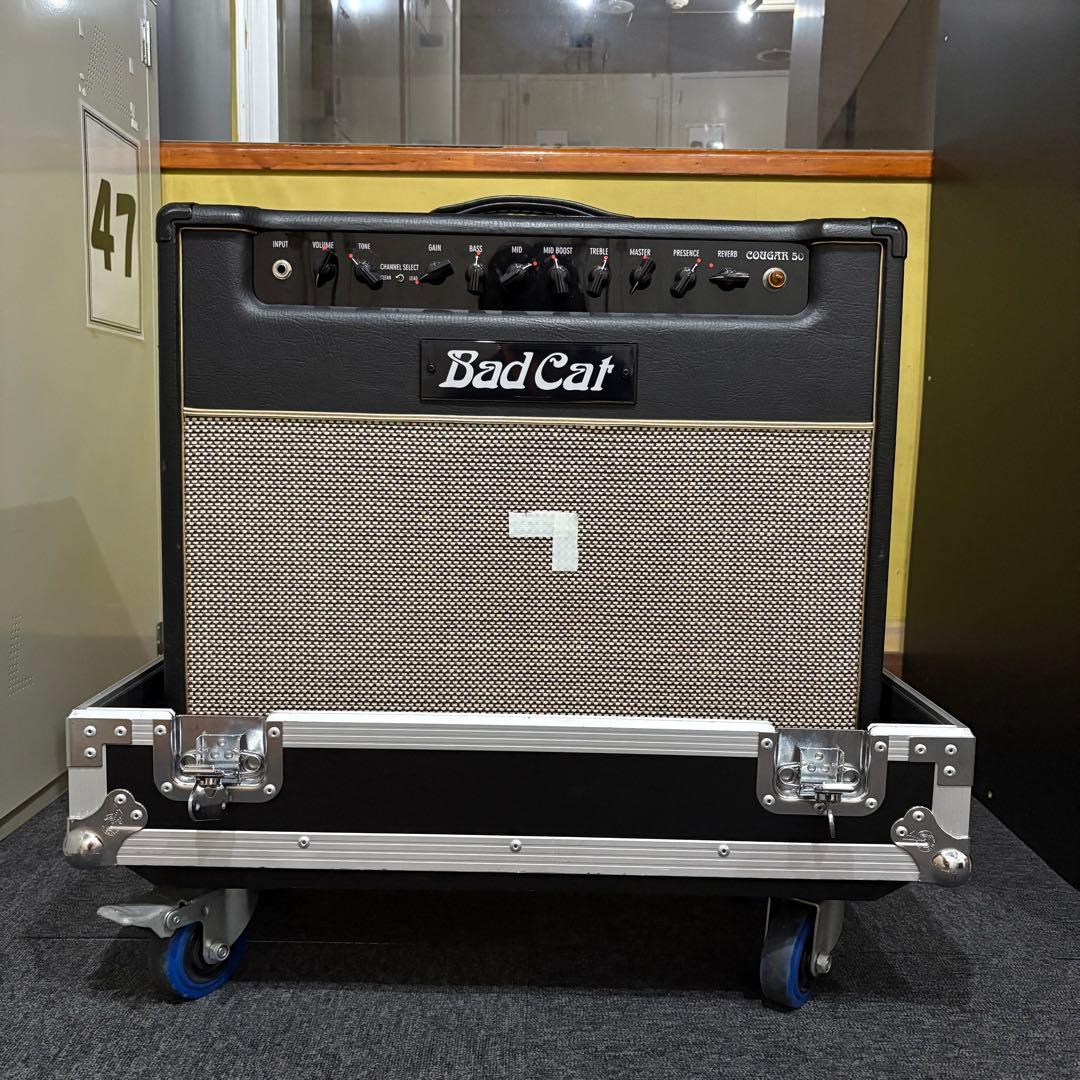 Badcat cougar 50 ツアーケース付き Bad cat