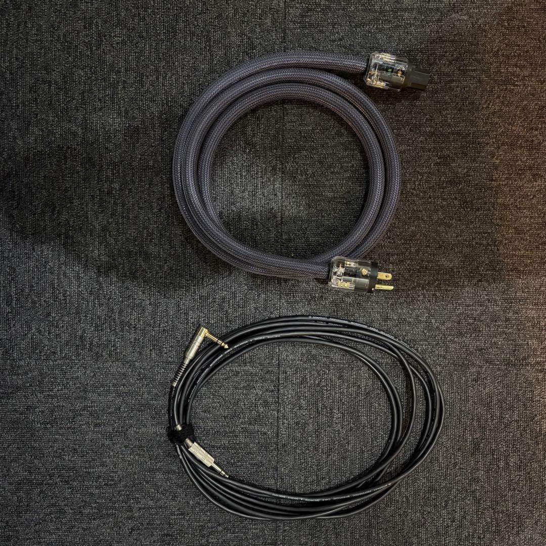 Badcat cougar 50 ツアーケース付き Bad cat