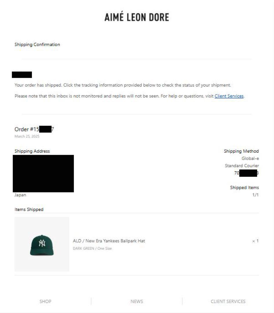 新品 Aime Leon Dore New Era 9TWENTY NY 緑