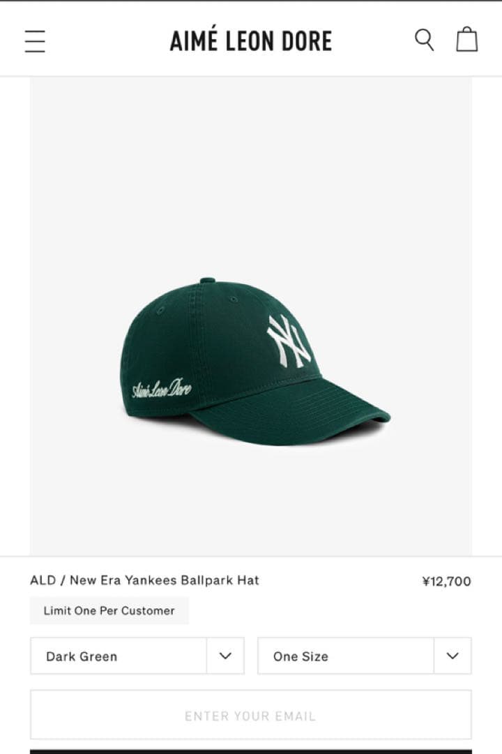 新品 Aime Leon Dore New Era 9TWENTY NY 緑