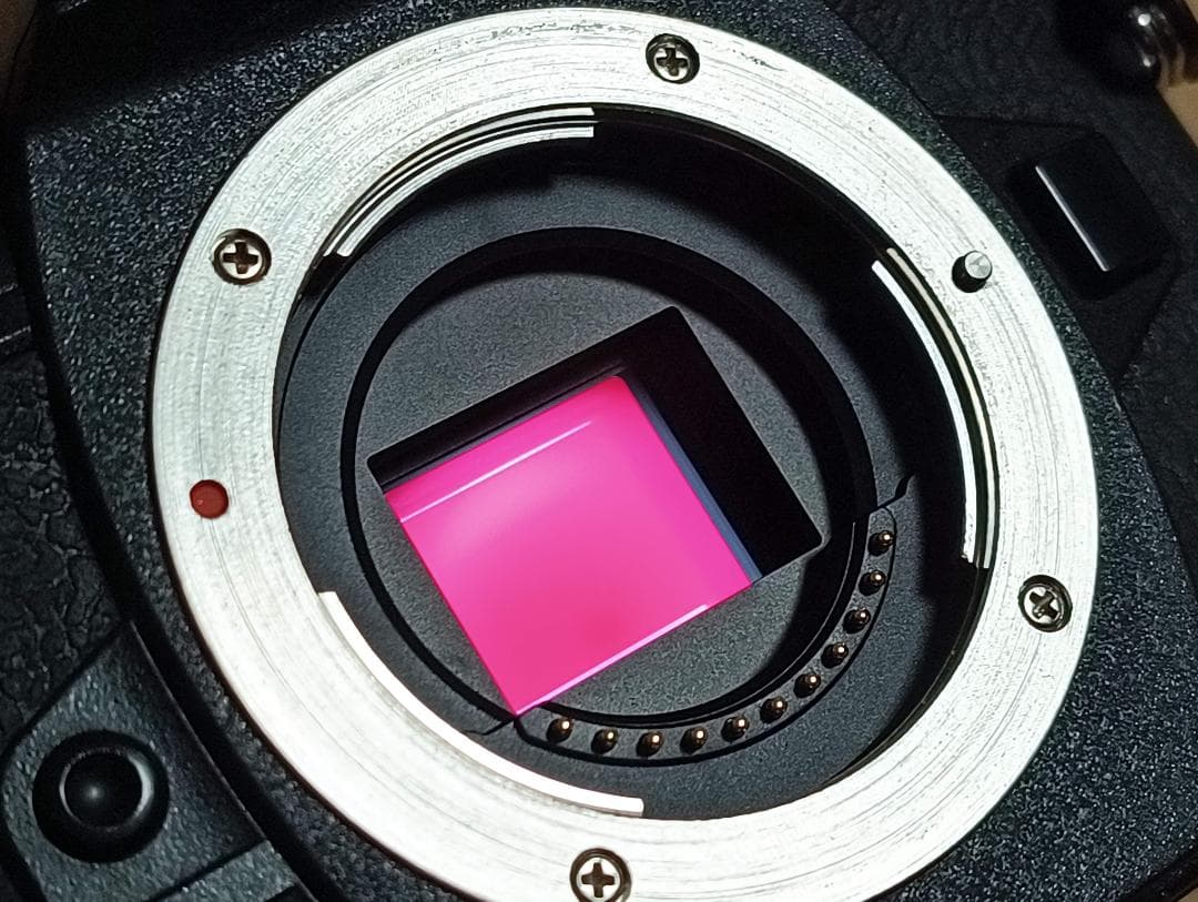 OLYMPUS OM-D E-M1 Mark II 本体