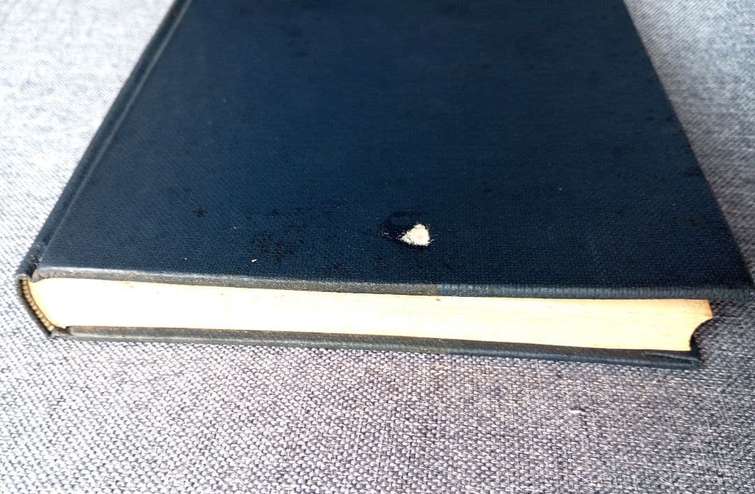 【希少】血液循環療法講習録