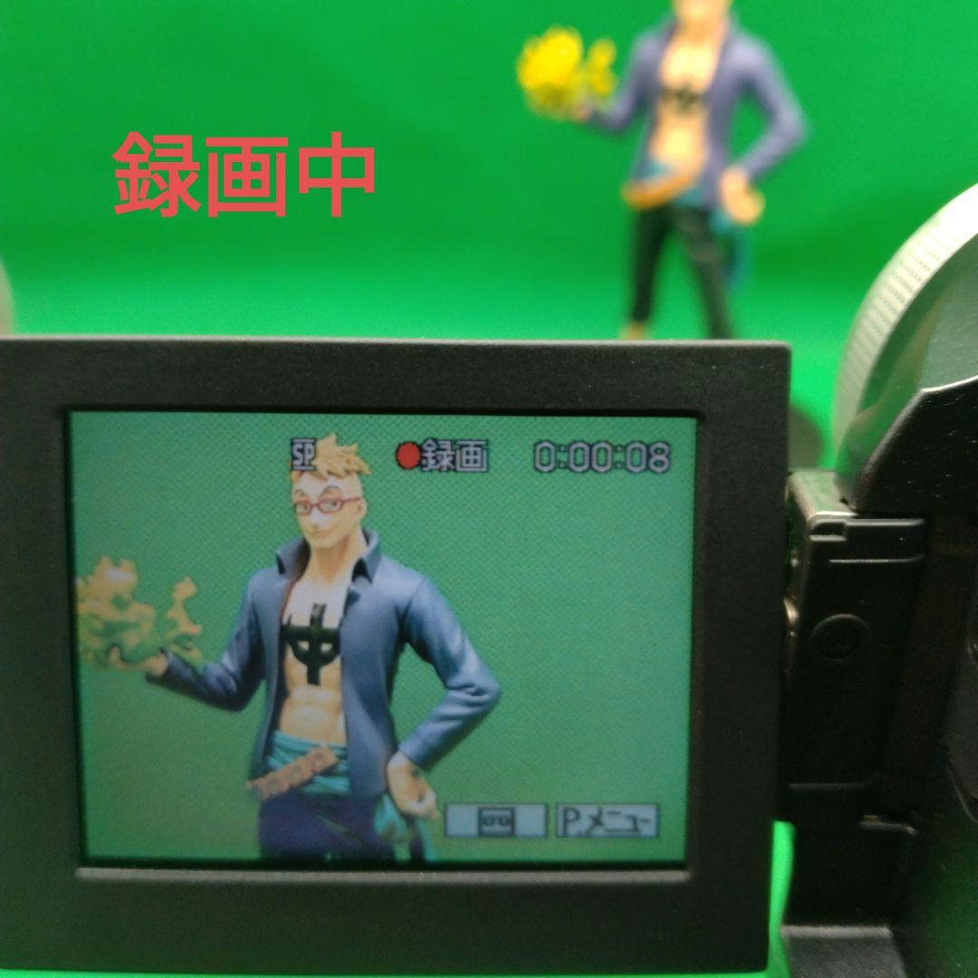 SONY ソニー DCR-PC300 Handycam ミニDV