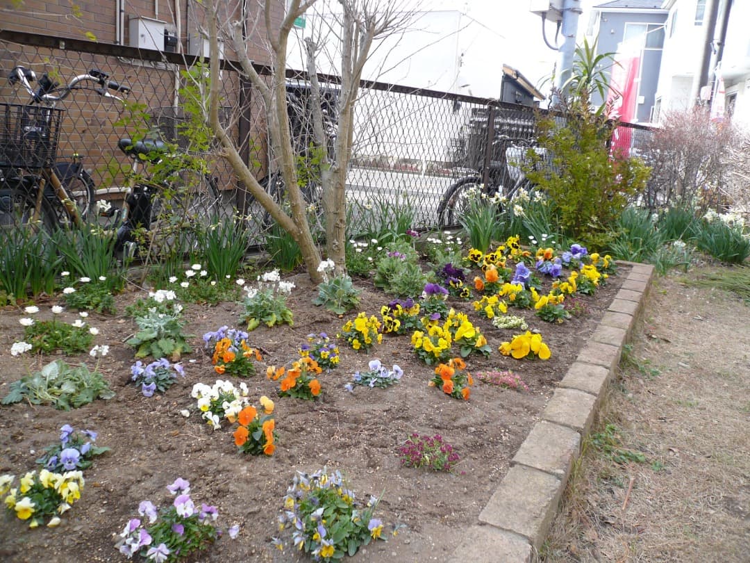 追加有り⭕️【動作確認済】Panasonic LUMIX DMC-FX07