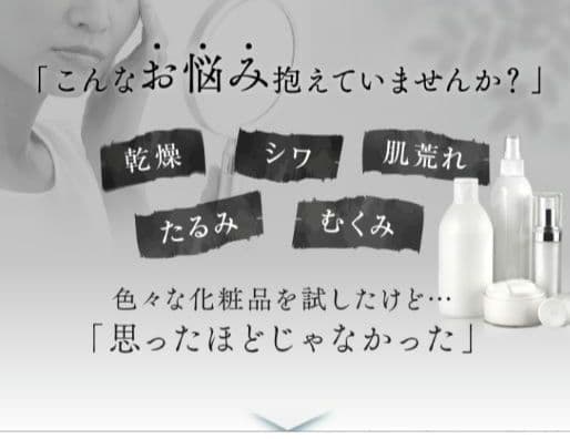 イオントリートメント 気's 美顔器