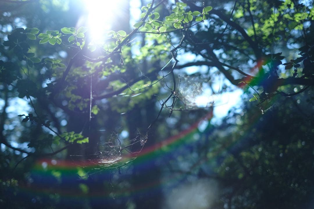 FUJIFILM XF35mmF1.4 R 本体