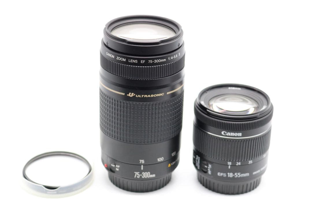 超美品 【Canon EOS Kiss X10 ダブルレンズセット】 安心取引