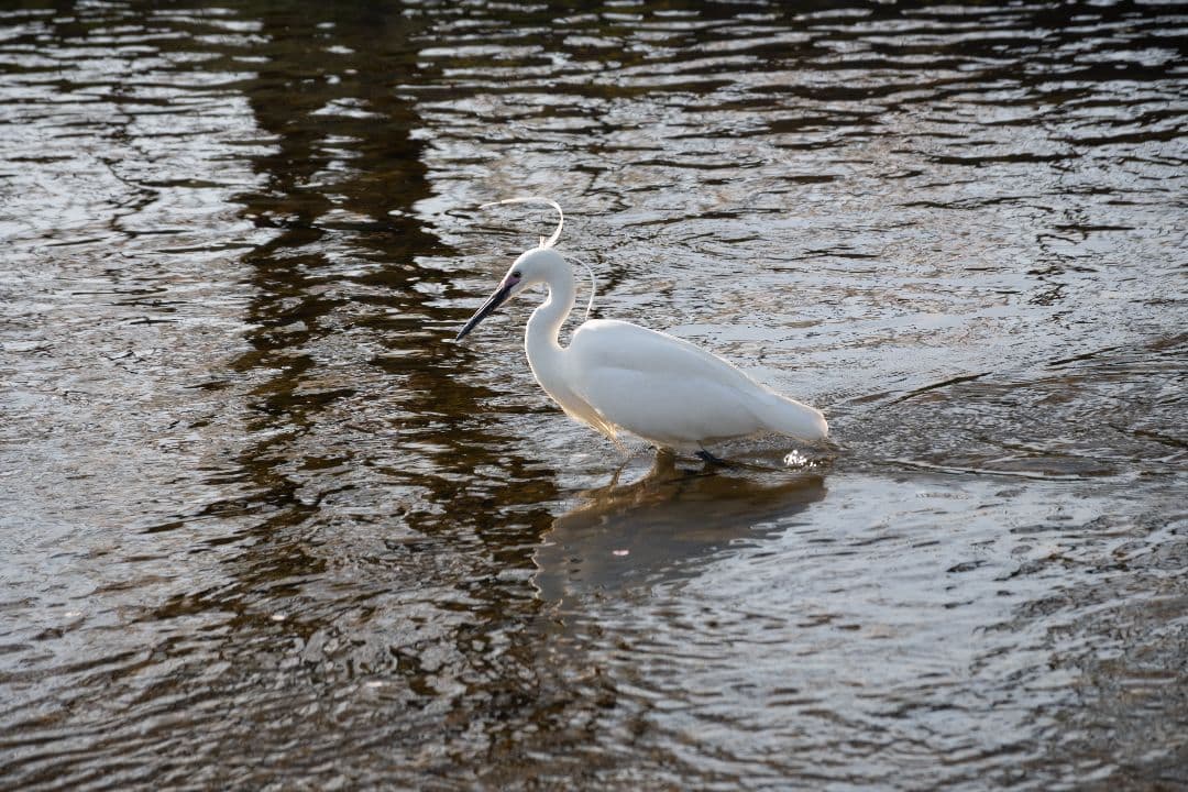 【美品】Nikon 18-140mm f/3.5-5.6G ED VR