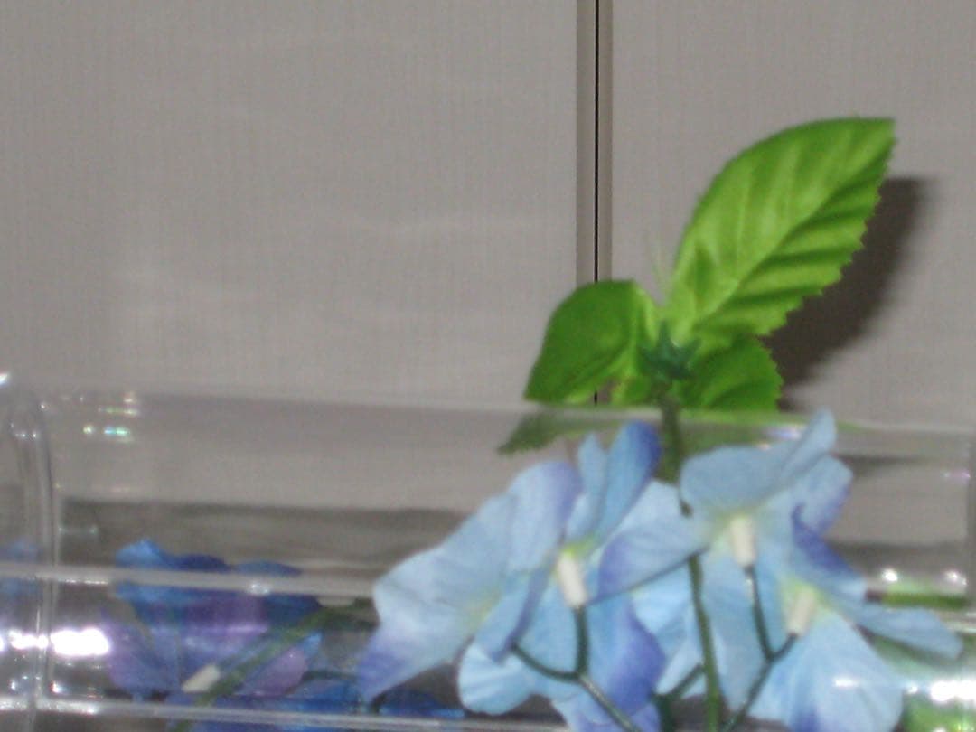 Canon カメラ　IXY 10 PC1228 充電器 コンデジ　動作品