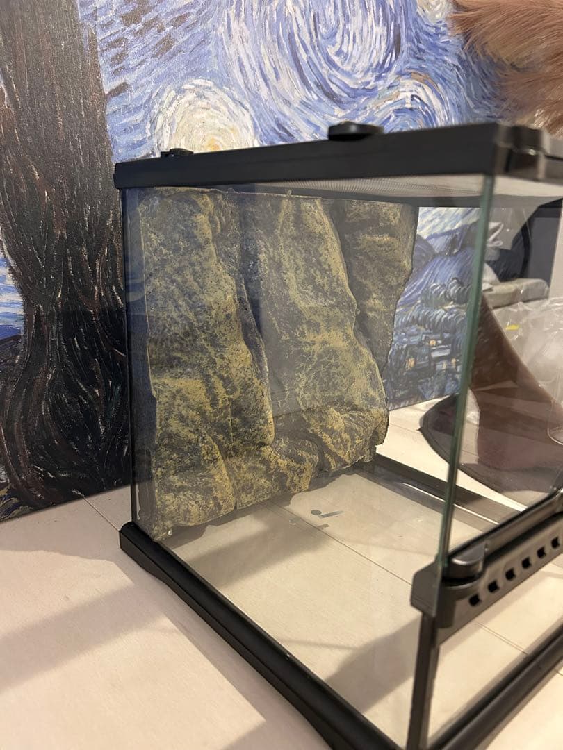 エキゾテラ グラステラリウム 3030、ヒーターマット付き