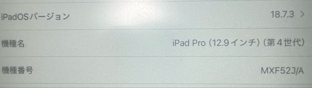 【美品】iPad Pro 12.9インチ　第4世代Wi-Fi +cellular