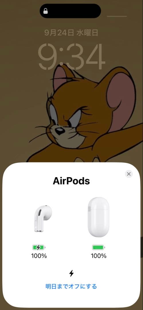 まーくさん専用★AirPods 本体 充電ケーブル付き ホワイト